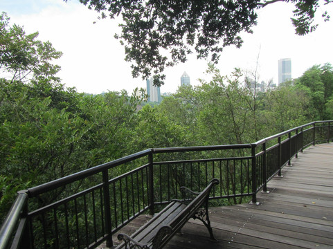 Kent Ridge Park-新加坡必去景点