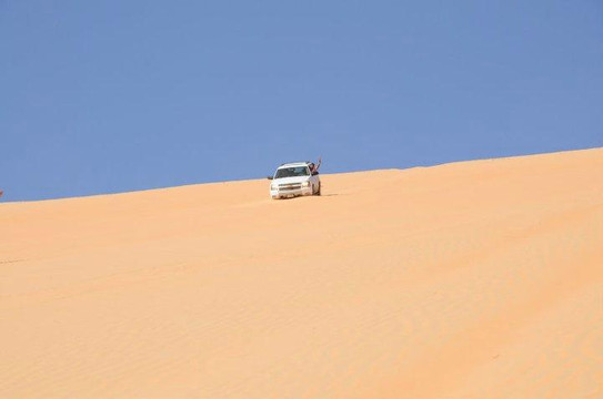 Desert Rose Tourism-阿布扎比必去景点