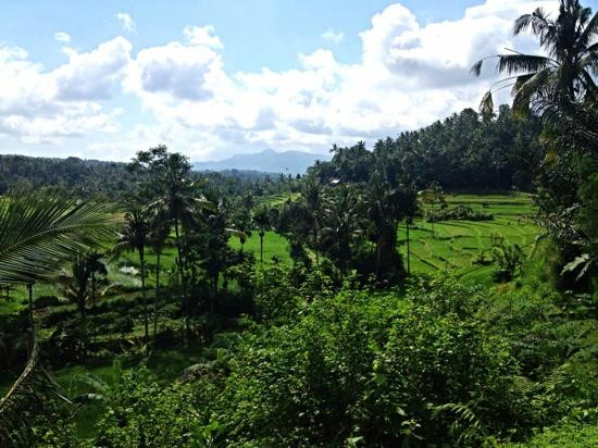 East Bali Bike Amed景点图片