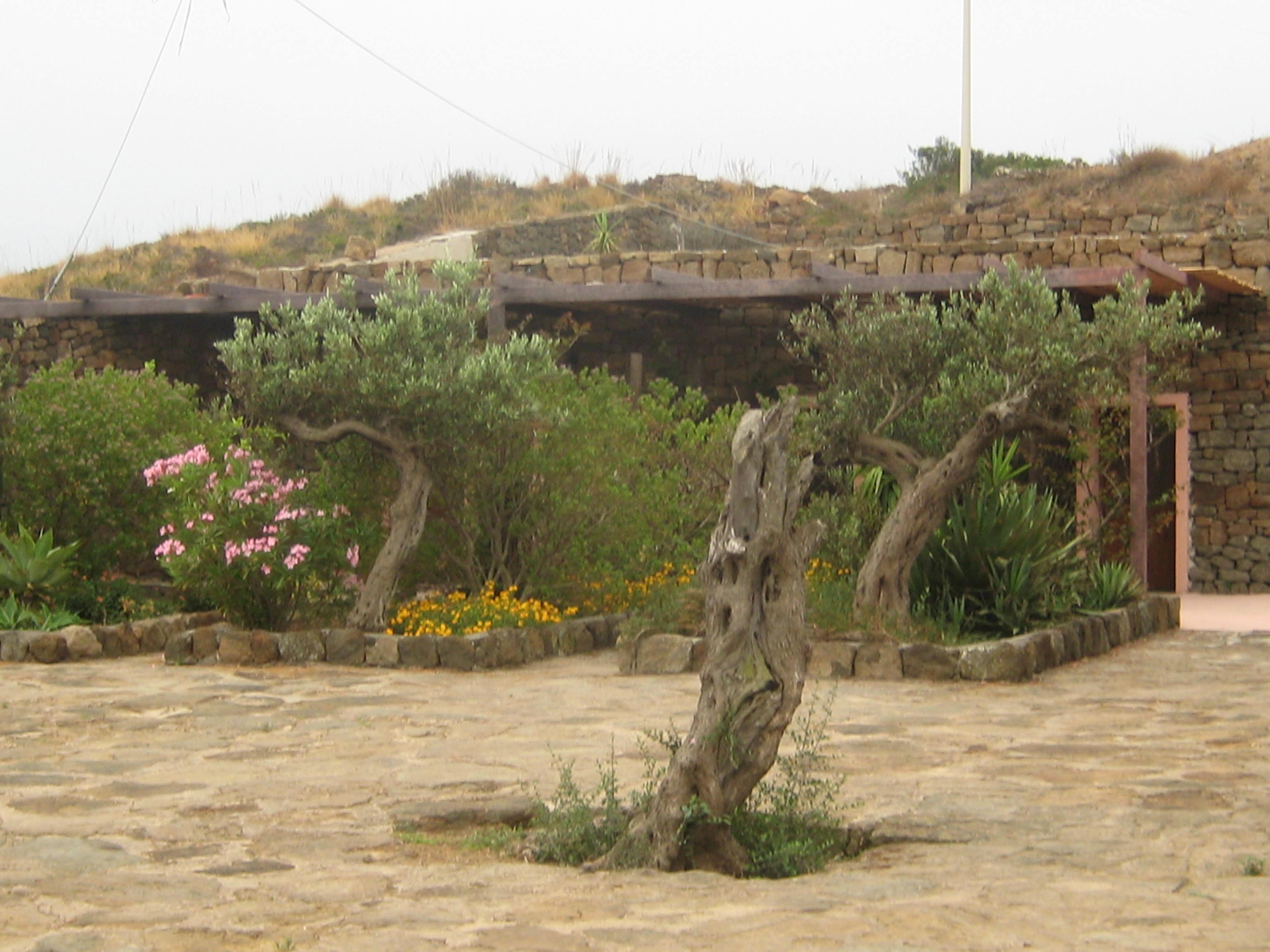 Agriturismo Zinedi-客卧