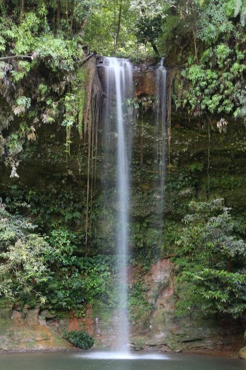 Lambir Hills National Park景点图片