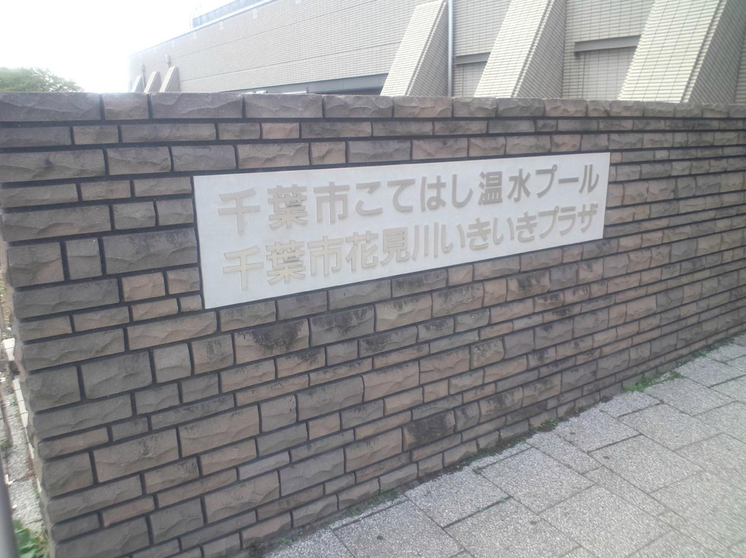 Kotehashi Onsui Pool-千叶市必去景点