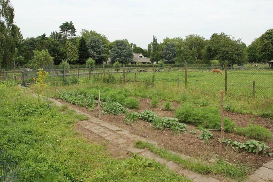 Kinderboerderij de Goffert-奈梅亨必去景点