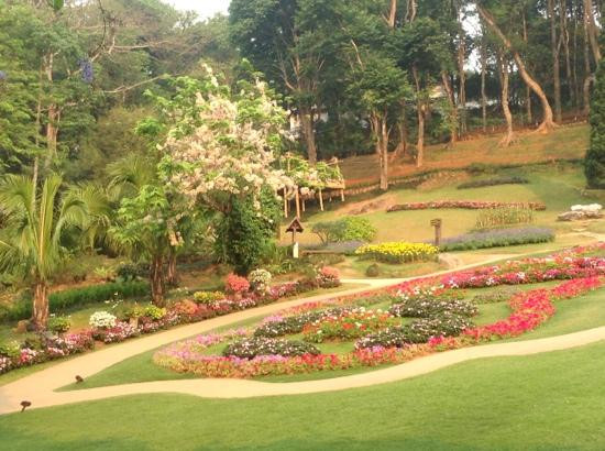 Mae Fah Luang Garden-夜发銮必去景点