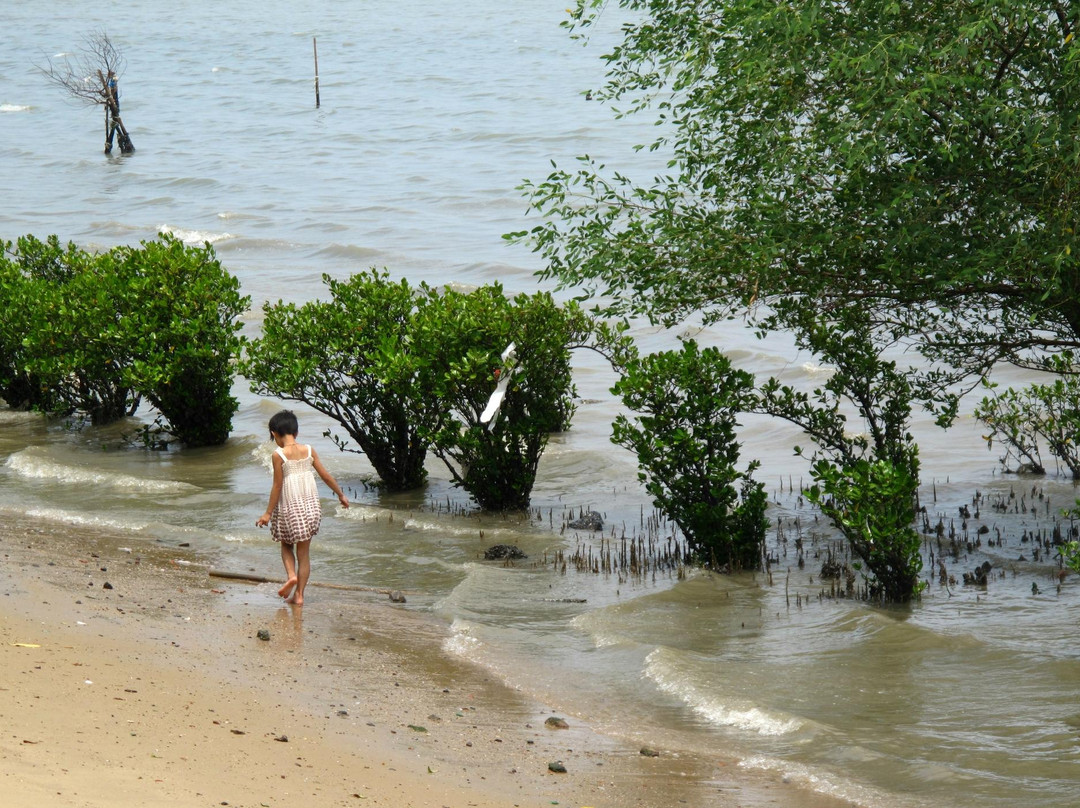 湛江海滨公园景点图片