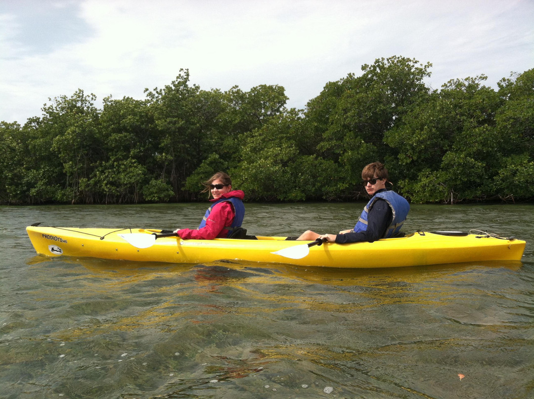 Lazy Dog Adventures-基韦斯特必去景点