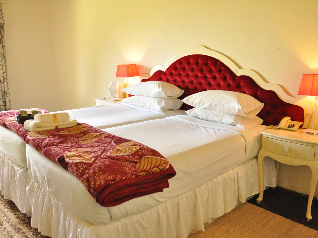 The Pangolin Hive Lodge
