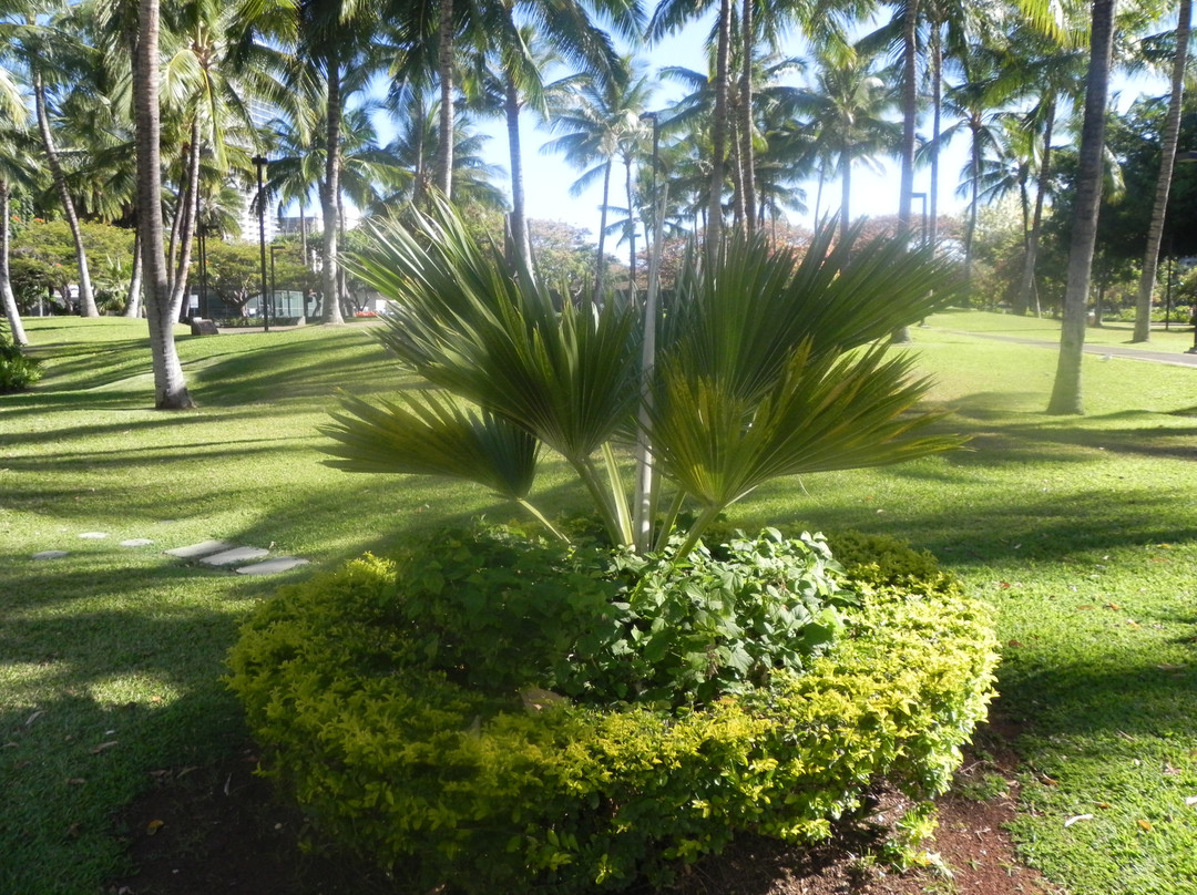 德吕西堡沙滩公园-火奴鲁鲁必去景点