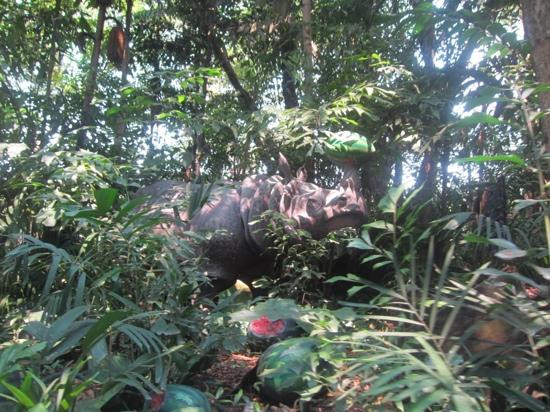 野生动物世界-曼谷必去景点