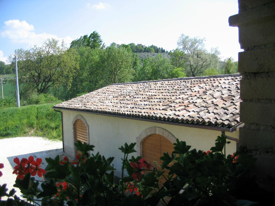 Raìna Winery and Vineyard-Montefalco必去景点