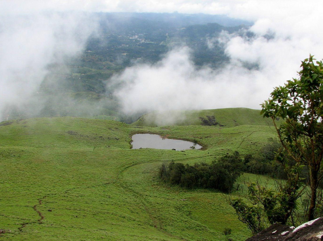 Chembra Peak-瓦亚纳德区必去景点