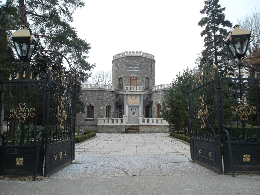 Iulia Hasdeu Castle景点图片