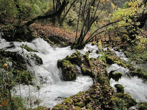 Jolie Adventure-丽江市必去景点