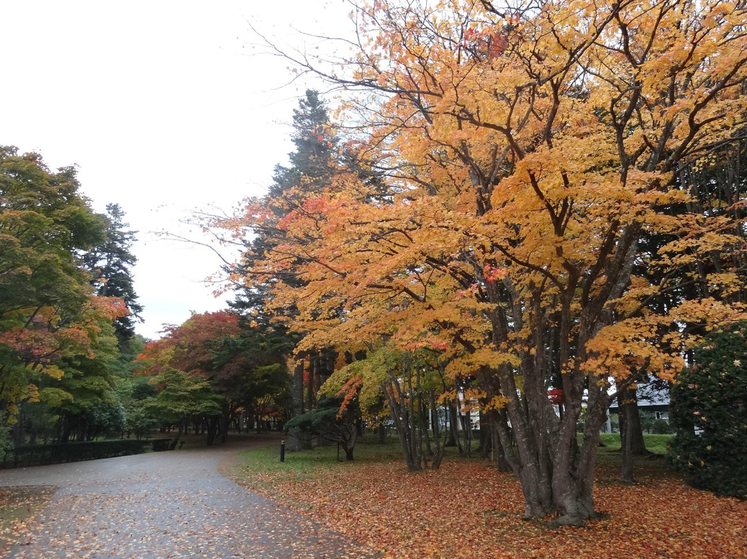 Miharashi Park (Kosetsuen)-函馆市必去景点