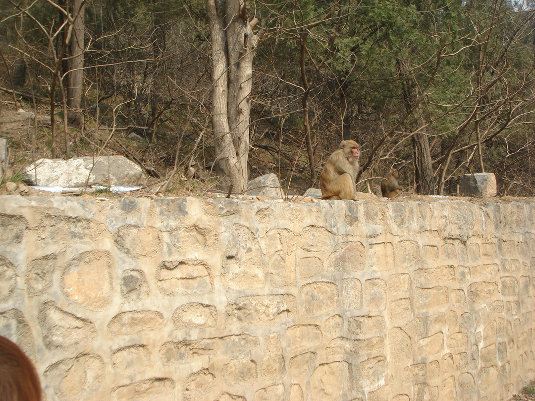 神农山-沁阳市必去景点