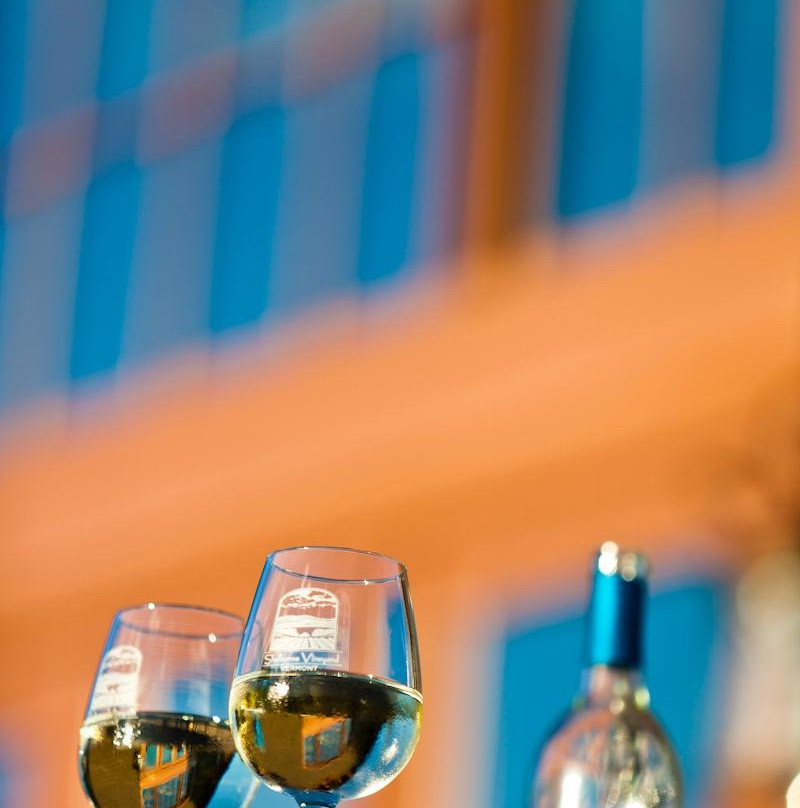 Shelburne Vineyard景点图片