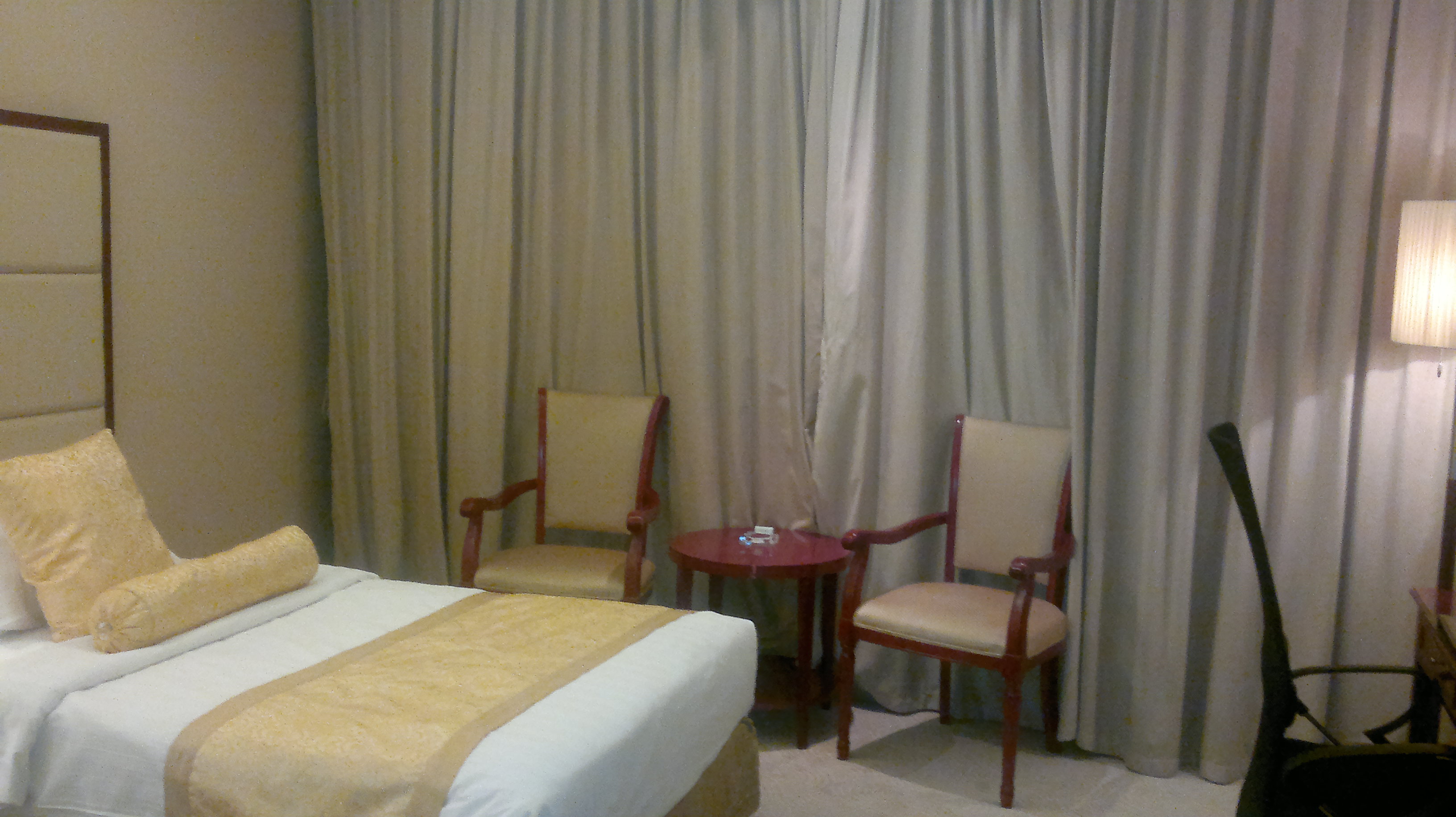 枣庄金尊国际酒店-客卧