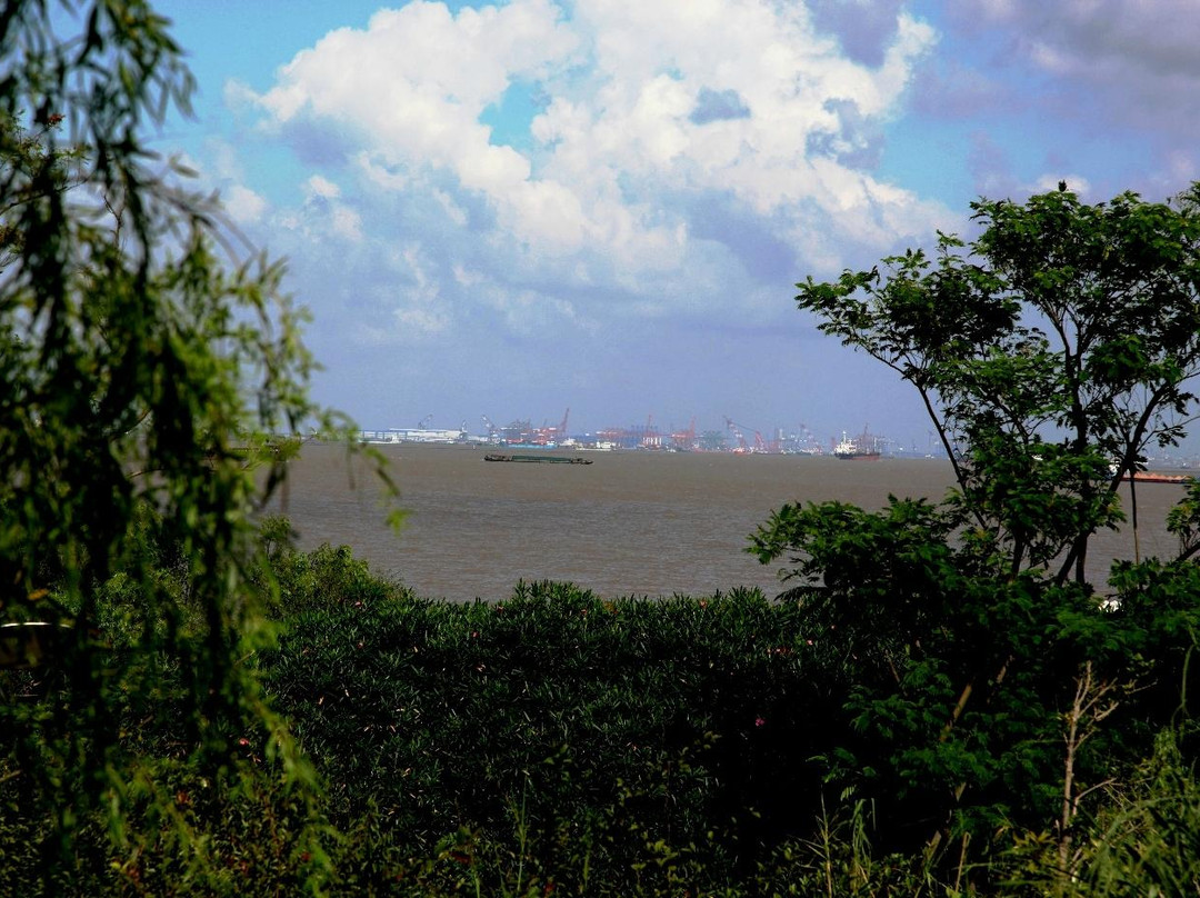 吴淞口炮台湾湿地森林公园-上海市必去景点