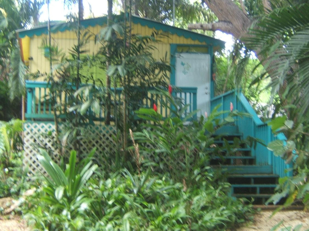 Tropic Cabanas