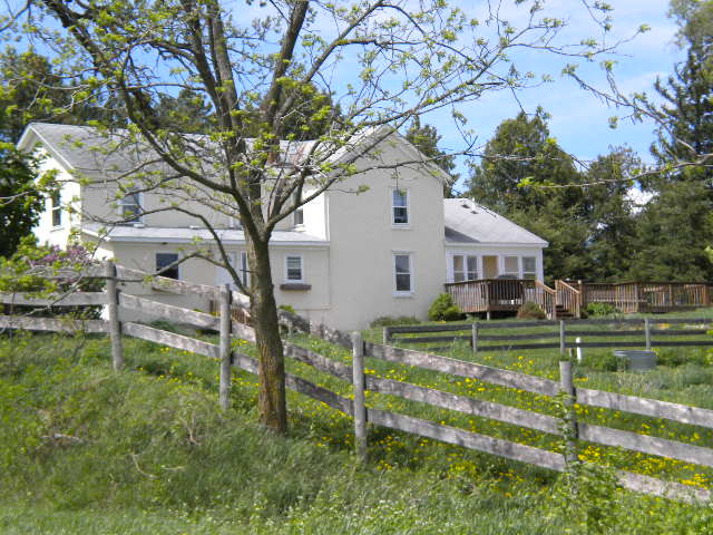 Lucky Dog Farmstay