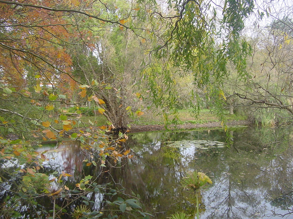 Holly Lane Mews主图