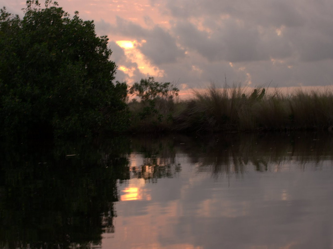 Tour The Glades - Private Wildlife Tours-大沼泽地必去景点