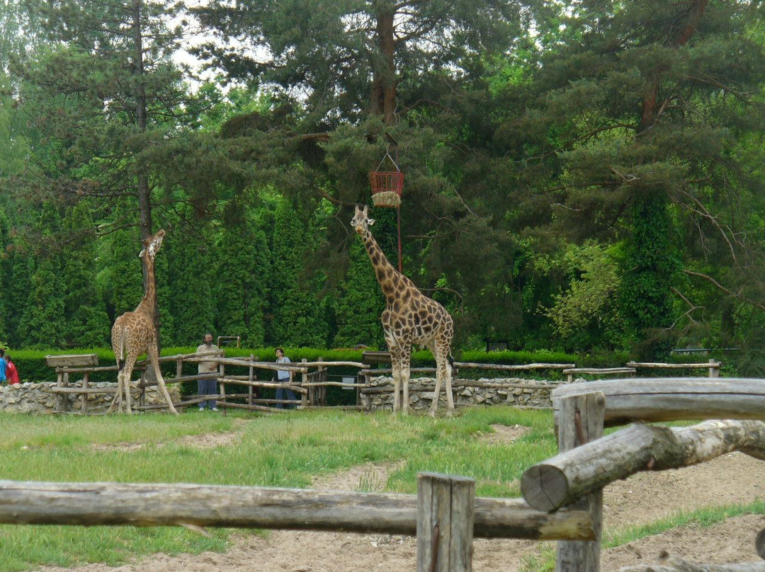 Palic Zoo景点图片