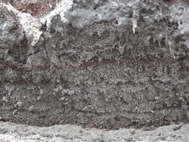 基拉韦厄火山山道-夏威夷火山国家公园必去景点