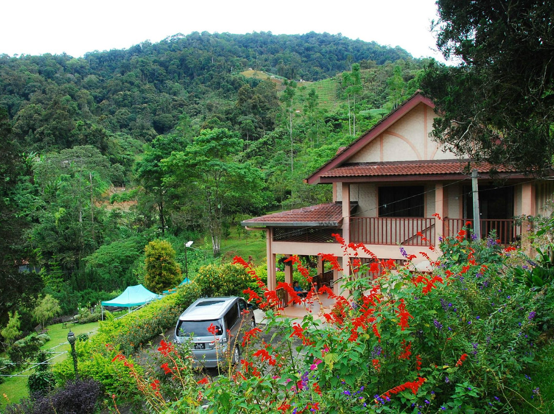 Valleyview