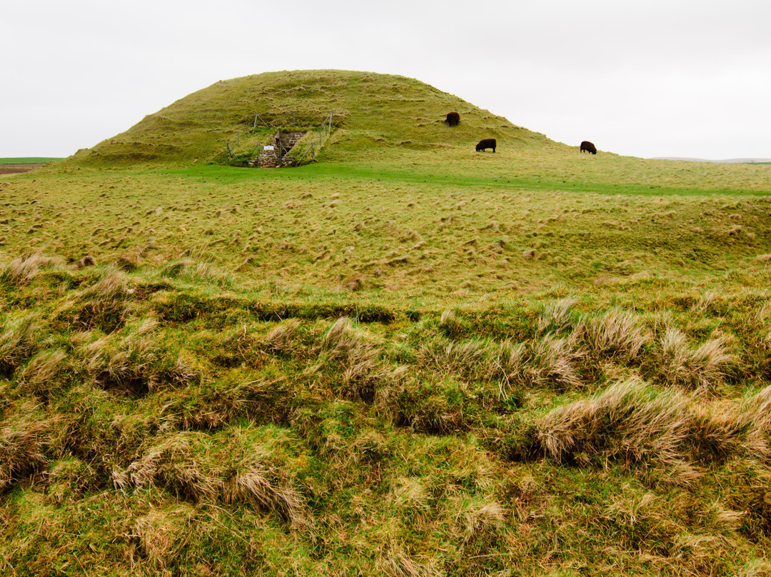 Explore Orkney Tours-Finstown必去景点
