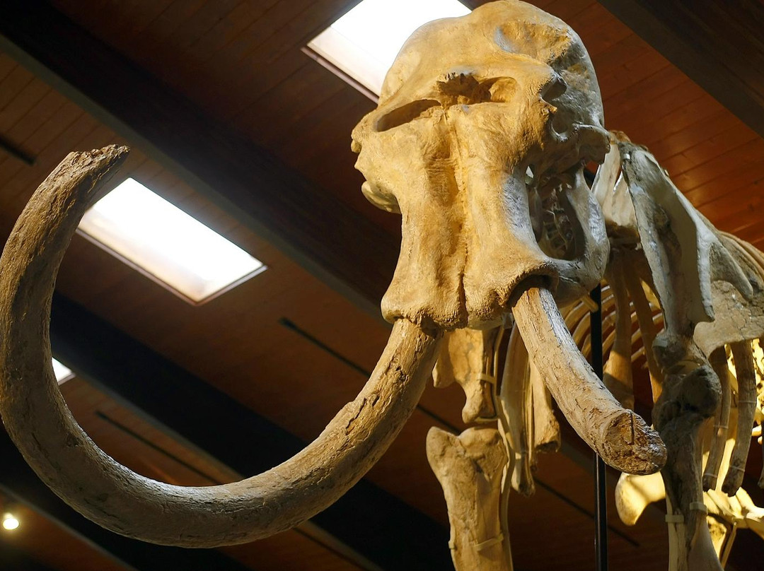 Tate Geological Museum-卡斯珀必去景点