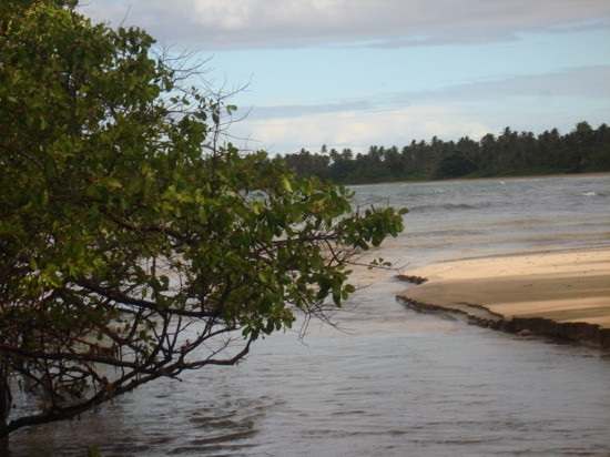 Bainema-Ilha de Boipeba必去景点