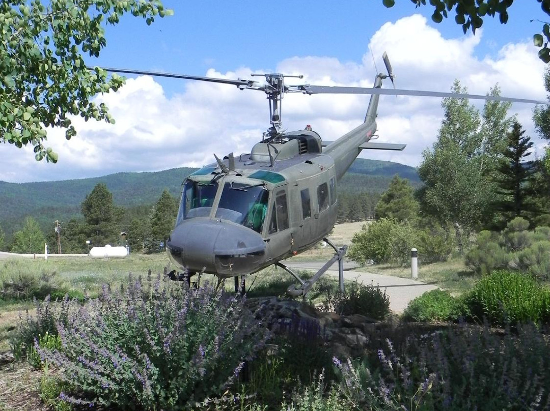 Vietnam Veterans Memorial景点图片