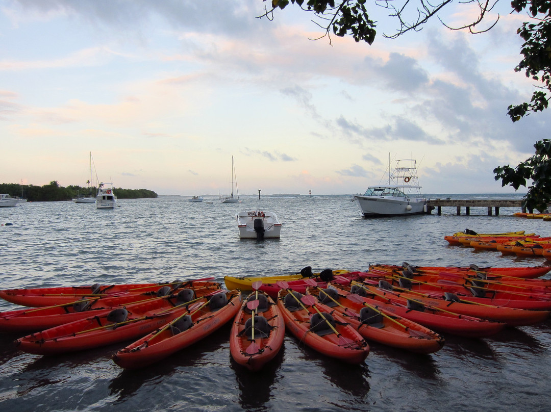 Puerto Rico Bio Bay Tours LLC-法哈多必去景点