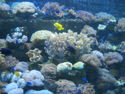 富国海底世界-北京市必去景点