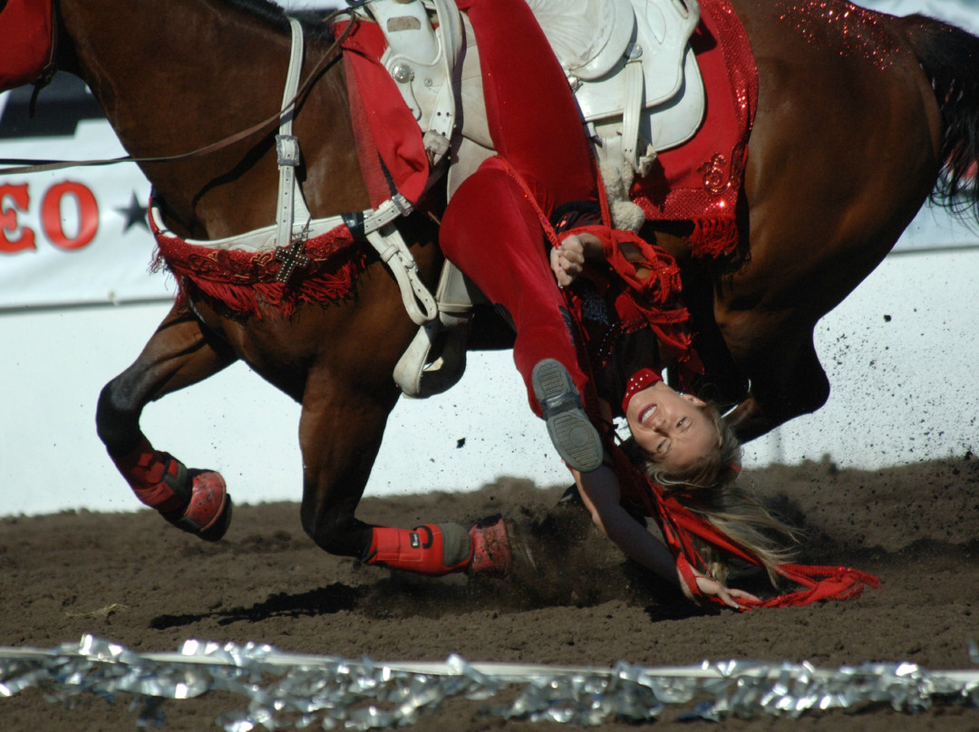 Medicine Hat Exhibition & Stampede景点图片