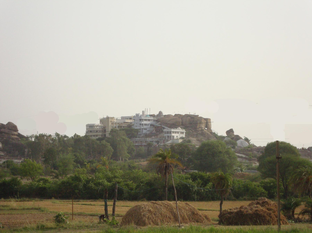 Sri Vidya Saraswathi Shani Temple景点图片