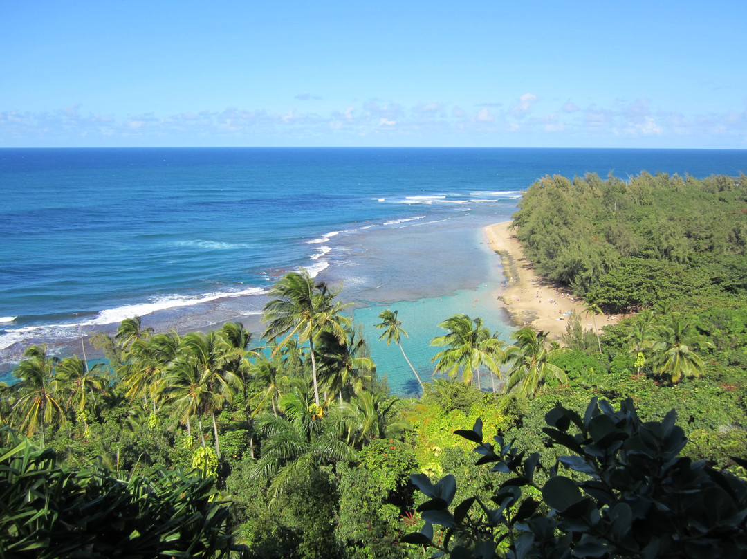 可可海滩-哈耶纳必去景点