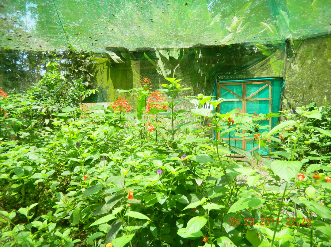Ecocentro Danaus景点图片