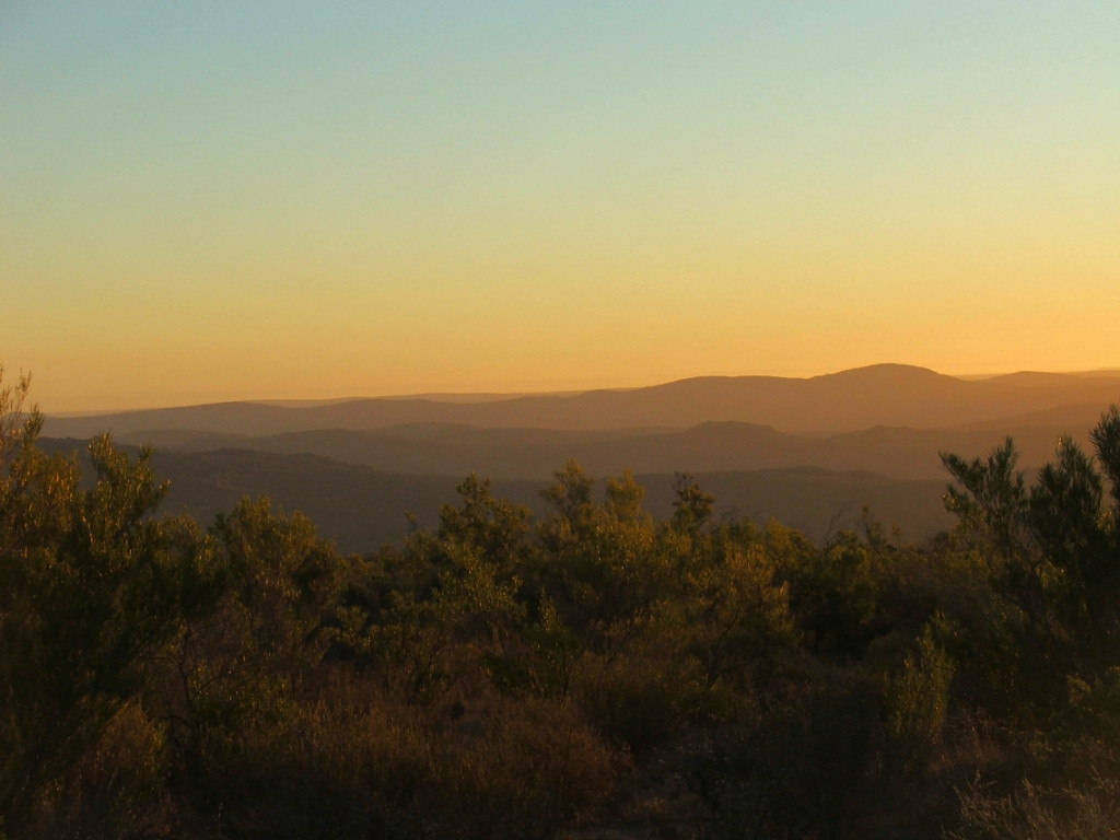 Namaqua National Park-北开普省必去景点