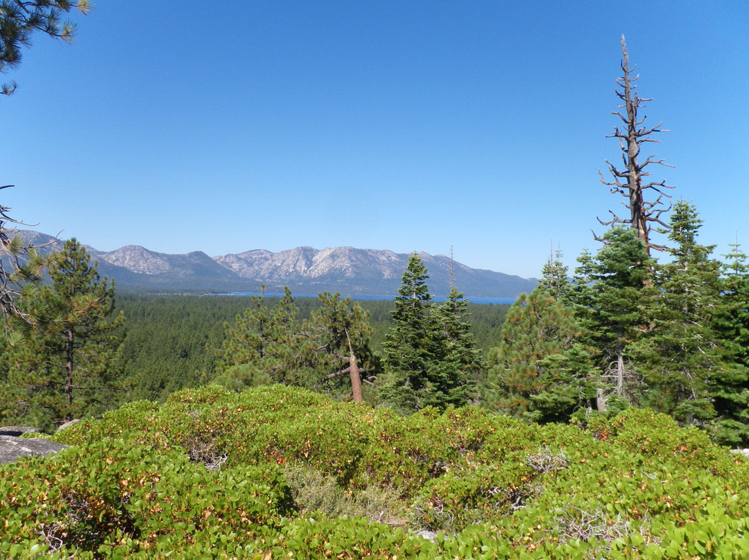 Wanna Ride Tahoe Bike Shuttle & Tours-Stateline必去景点