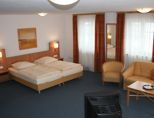 Pension Pfluegler-客卧