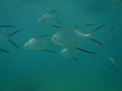 Aqua Adventure-圣胡安必去景点