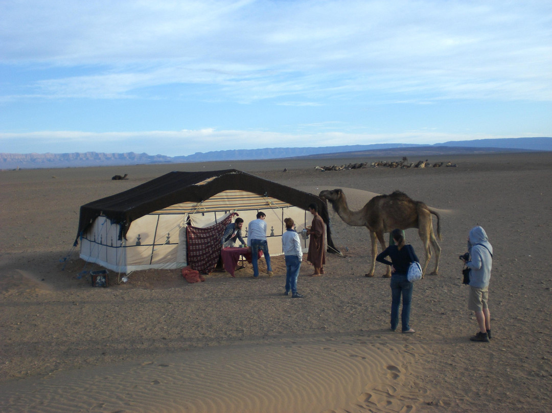 Soul Adventure Morocco Day Tours-卡萨布兰卡必去景点