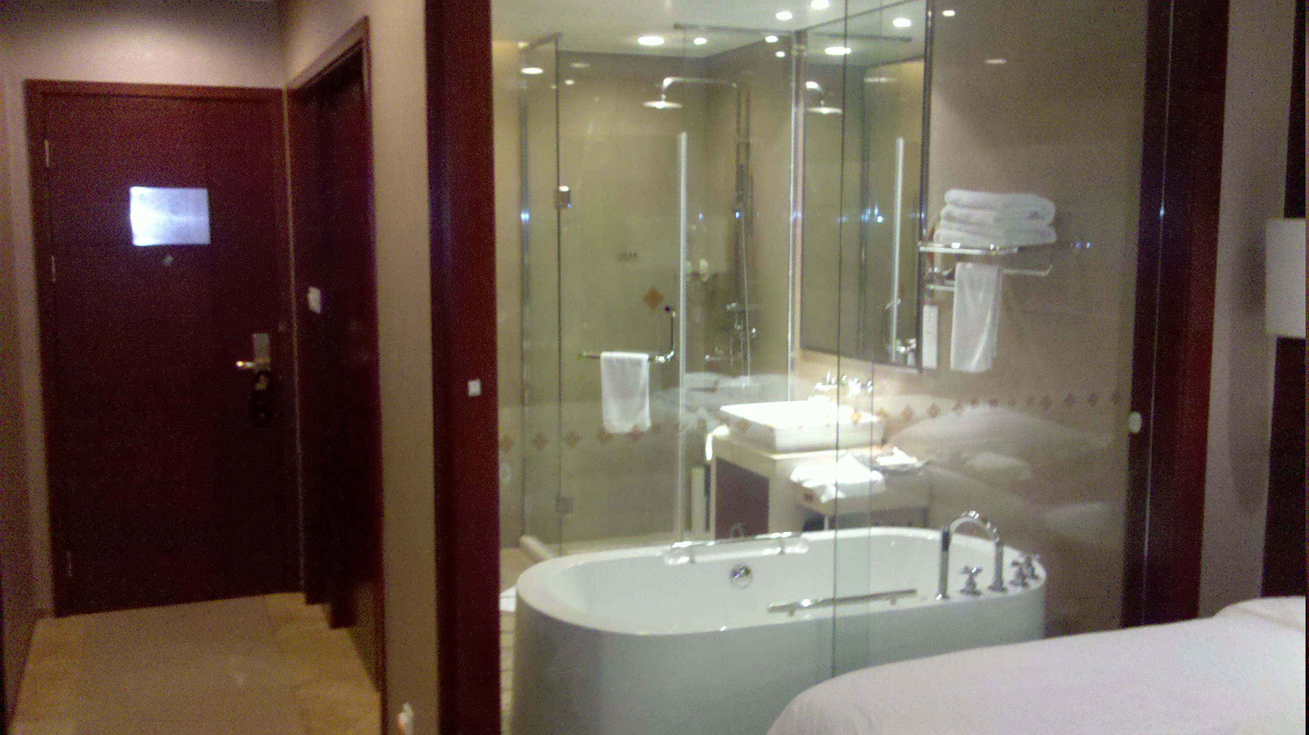 合肥泓瑞金陵大酒店-客卧