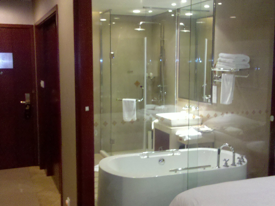 合肥泓瑞金陵大酒店主图