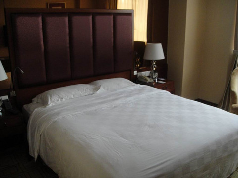 成都天府阳光酒店主图