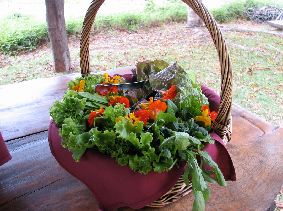 O'o Farm-库拉必去景点