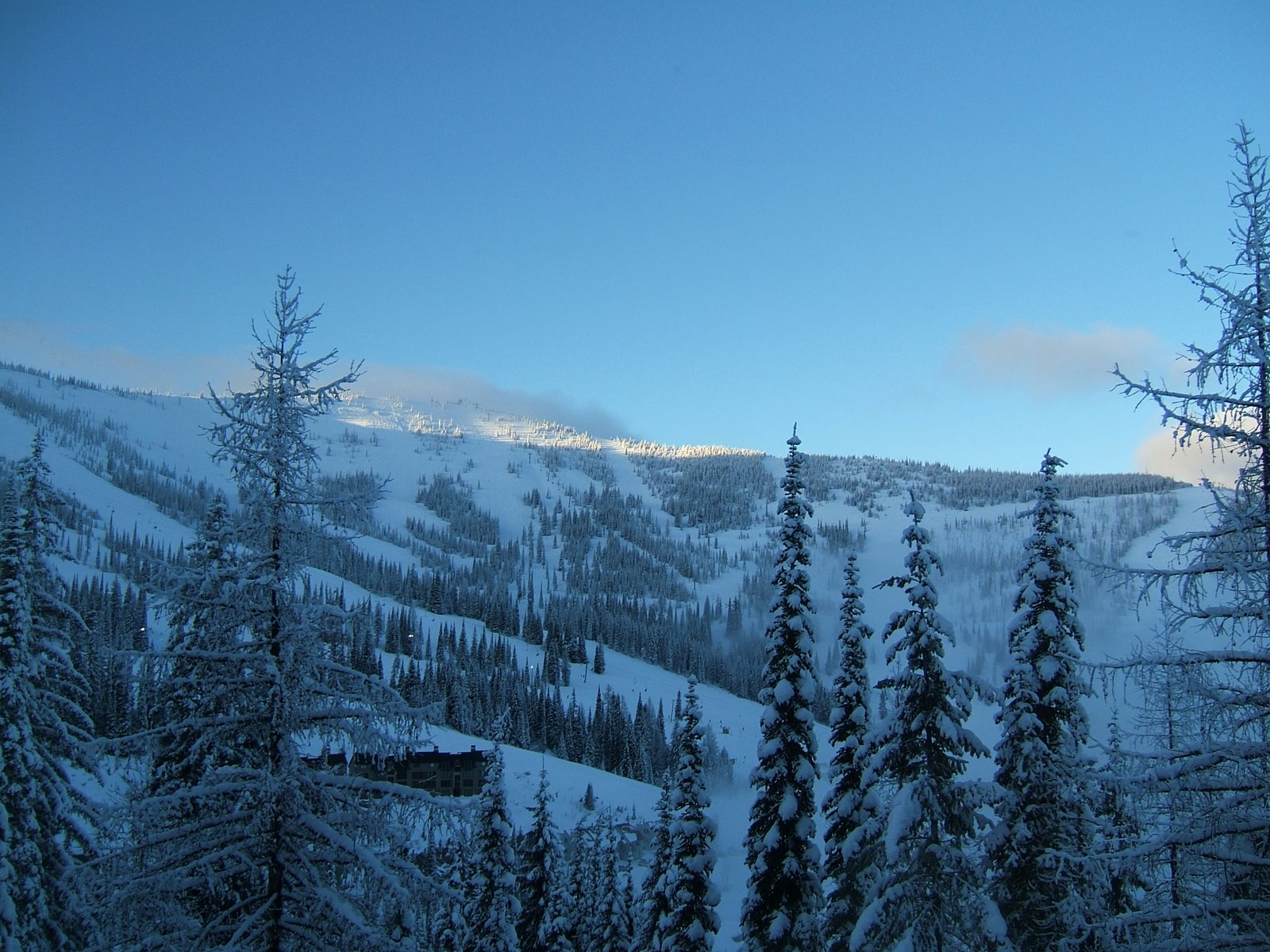 Schweitzer Mountain Bed and Breakfast-酒店景观
