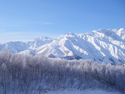 Hakuba Iwatake Mountain Resort景点图片